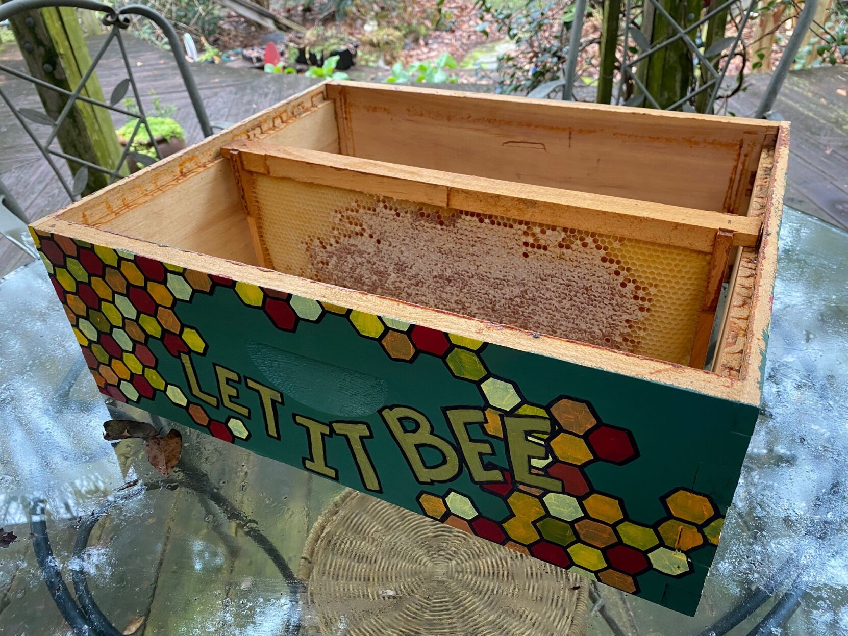 Honey bee frame in box 1